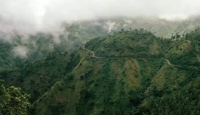 牙买加蓝山咖啡豆的品种特点产地区处理法庄园冲泡口感风味描述介绍