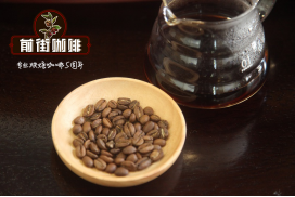 中美洲哥斯达黎加咖啡波旁 卡杜拉 卡杜艾品种特点   哥斯达黎加咖啡豆等级区分