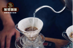 什么是咖啡闷蒸 闷蒸的目的 闷蒸的方法步骤简介