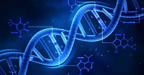 双语咖啡咨询：运动和咖啡因可以改变你的DNA