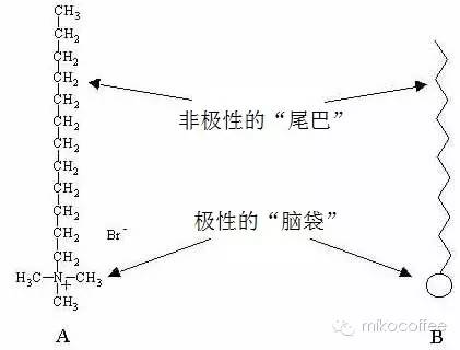 意式咖啡制作教程：咖啡拉花中的流体力学原理详细讲解