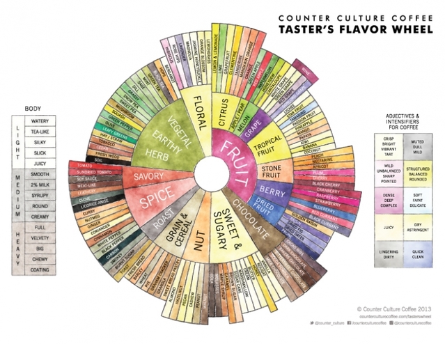 咖啡知识要点;美国反传统咖啡SCAA风味轮基础发布新版咖啡风味轮