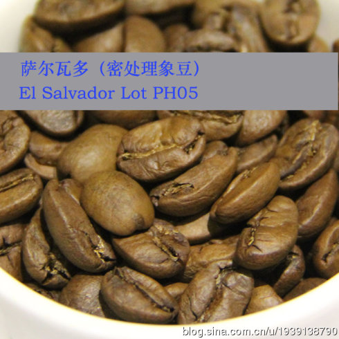 咖啡豆特点：萨尔瓦多咖啡豆风味解析及烘焙程度的分析介绍