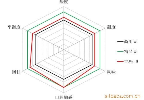 非洲咖啡庄园埃塞俄比亚产区吉玛咖啡生豆DjimmaG4級日晒摩卡味