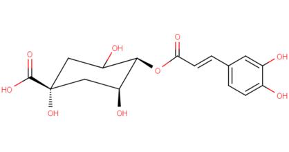 SCAA Emma Bladyka 绿原酸：化学和现实 烘培中的化学变化重要意