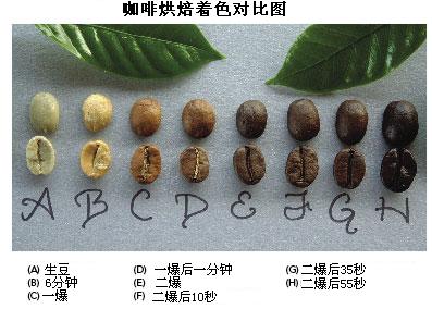 咖啡豆烘焙理论 咖啡豆的烘焙程度所产生的风味特征 咖啡豆颜色