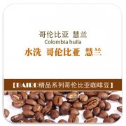 哥伦比亚慧兰(Colombia huila）咖啡豆