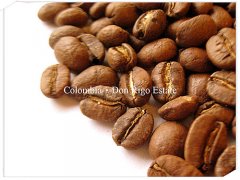 哥伦比亚 Colombia Don Rigo Estate