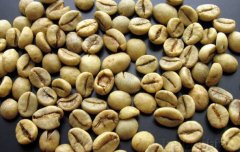 印尼爪哇罗布斯塔生豆Indonesia Java Robusta