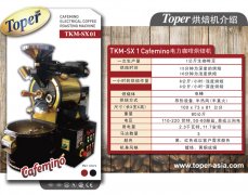 土耳其TOPER TKM-SX 1公斤咖啡烘焙机