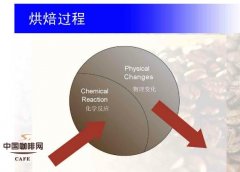 咖啡烘焙的艺术和科学，你喜欢那种烘焙？