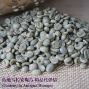 瓜地馬拉安堤瓜（有机）Guatemala Antigua Hunapu