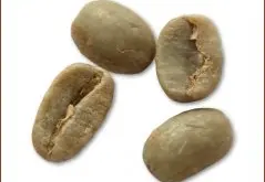 咖啡豆 蓝山咖啡豆图片(Blue Mountain)