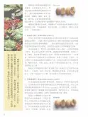 咖啡豆的基础知识 咖啡三大原生种