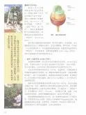 咖啡豆的基础知识 咖啡的栽培过程