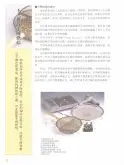 咖啡豆的烘焙 挑战手网烘焙