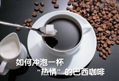 如何冲泡一杯“热情”的巴西咖啡