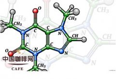 精品咖啡健康 咖啡因含量多影响你的健康