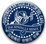 精品咖啡豆推荐 危地马拉安提瓜咖啡