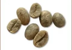 精品咖啡豆种类 尼加拉瓜咖啡豆