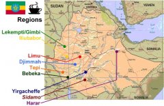 阿拉比卡咖啡的故乡 埃塞俄比亚咖啡介绍