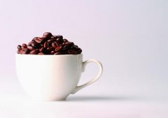 咖啡馆经营知识 星巴克Starbucks分析