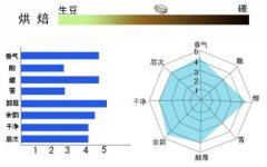 精品咖啡豆介绍 水果之王耶加雪菲G1