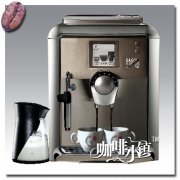 意大利gaggia platinum visionp全自动咖啡机