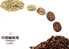 咖啡豆烘焙理论 精品咖啡豆的基础知识