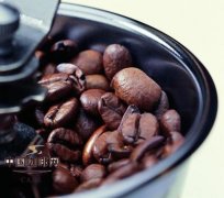夏威夷科纳咖啡 世界上最美丽地方的咖啡豆