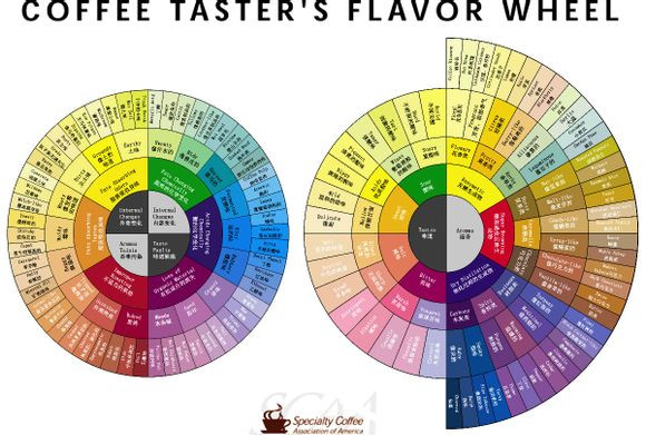 SCAA的咖啡风味轮Coffee Taster's Flavor Wheel