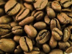 咖啡的种类 精品咖啡豆基础常识