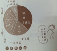 图解生咖啡豆是由哪些成分构成的