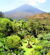 危地马拉的咖啡庄园 火山脚下的危地马拉咖啡园