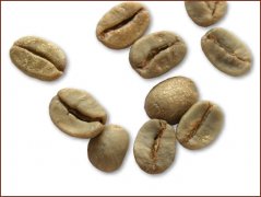 巴西小粒咖啡豆图片（Brazilian Arabica)