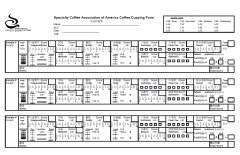 迈赫迪Mahlkonig EK43与GUATEMALA在杯测感官上的比较