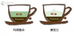 图解玛琪雅朵和康宝兰的区别