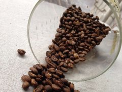 精品咖啡豆埃塞俄比亚的咖啡介绍