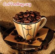 Coffee Measures 一个辅助手工冲泡咖啡的计量软件