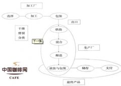 生产及加工咖啡豆的过程 干燥法与水洗法