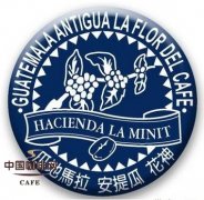 危地马拉安提瓜花神咖啡 危地马拉种植咖啡