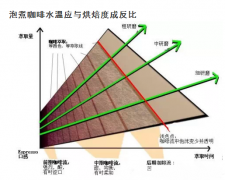 SCAA咖啡萃取的关键因素 水温、时间、水流