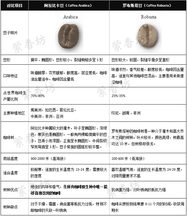 咖啡豆之阿拉比卡和罗布斯塔的区别 阿拉比卡豆和罗布斯塔豆