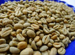 洪都拉斯精品咖啡豆介绍 洪都拉斯咖啡特点风味 洪都拉斯咖啡口感