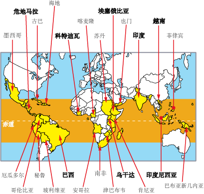 咖啡豆的种类 拉丁美洲的种类 中南美洲的种类 南美的咖啡