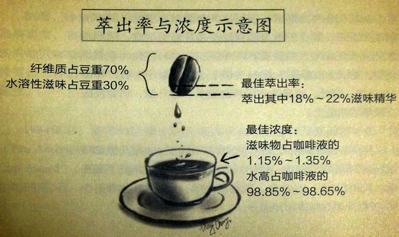 世界咖啡产国哥伦比亚咖啡哥伦比亚咖啡文化咖啡豆卡杜拉铁毕卡