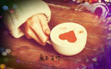 云南铁皮卡咖啡豆的种植环境产地区风味描述口感庄园介绍