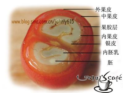 耶加雪菲g2咖啡豆味道风味描述口感品种研磨刻度产地区