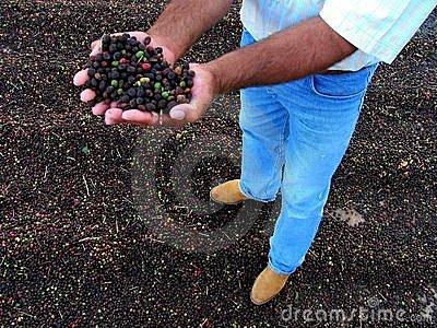 咖啡磨豆机怎么调刻度做咖啡需要那些设备