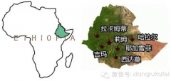 埃塞俄比亚咖啡产区庄园种植情况 耶加雪菲咖啡豆风味口感特色介绍
